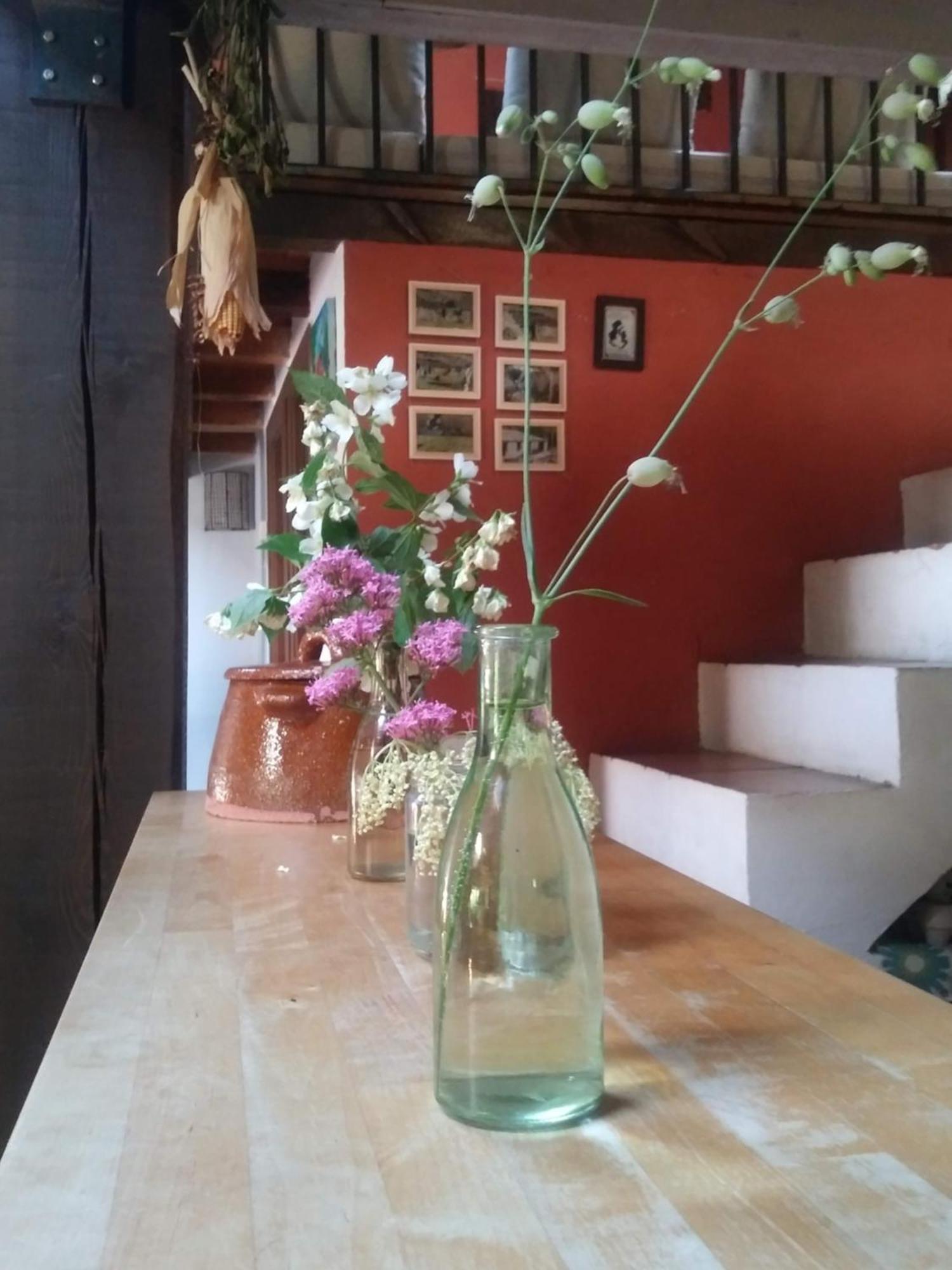 Casa Corazon De Piedra En El Rio Dulce Guest House Aragosa Екстериор снимка